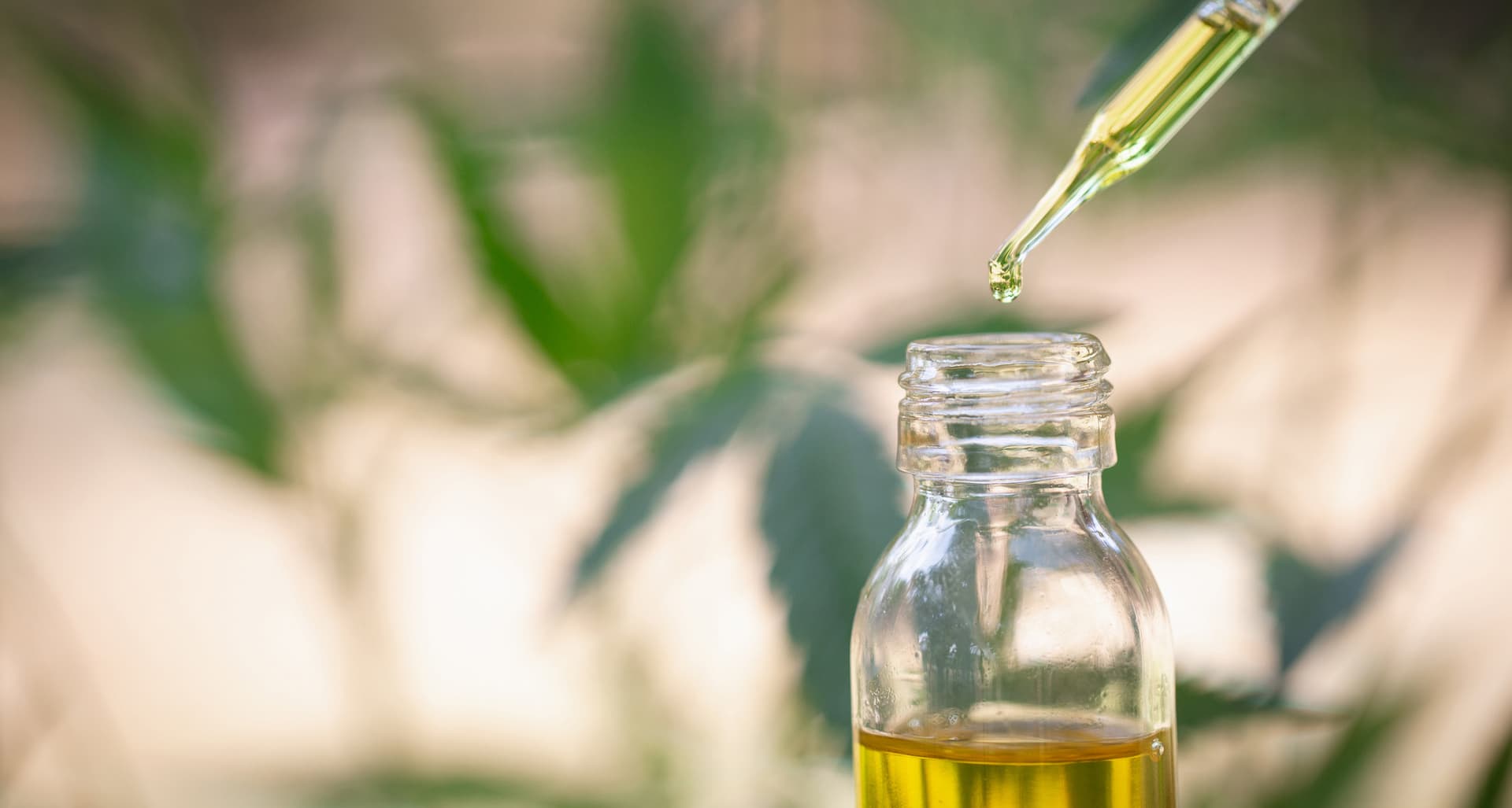 THC Öl Herstellung nach Wernard Bruining – Präzision durch Verdünnung bei Cbdladen