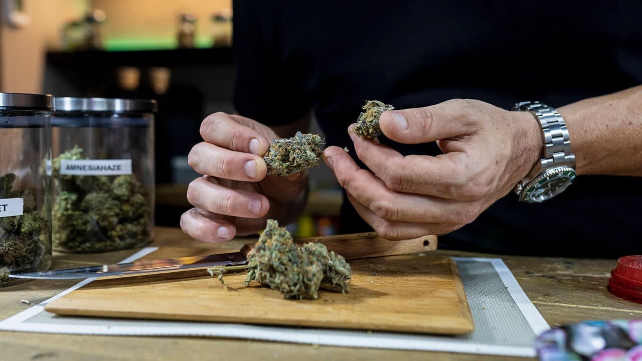 Cannabis Barcelona erleben: Von der Straße bis zum Club